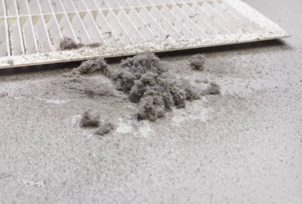 La Blanca, TX Airduct Cleaning Company