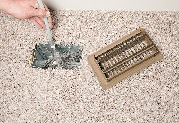 Best Professional Duct Cleaning Services  in La Blanca, TX